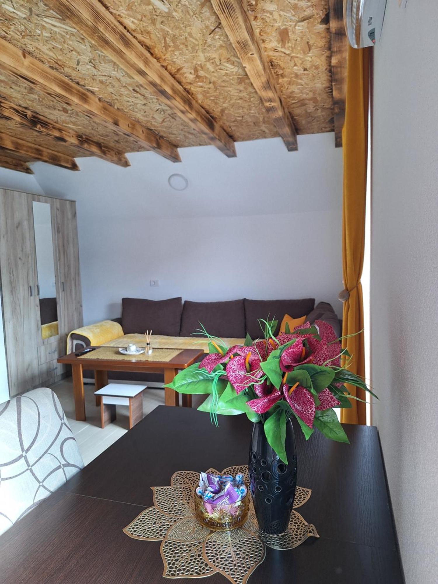 Apartmani Lena Plužine Ngoại thất bức ảnh